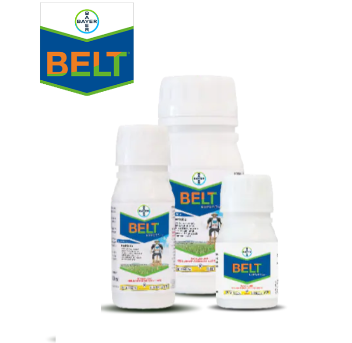 Bayer Belt