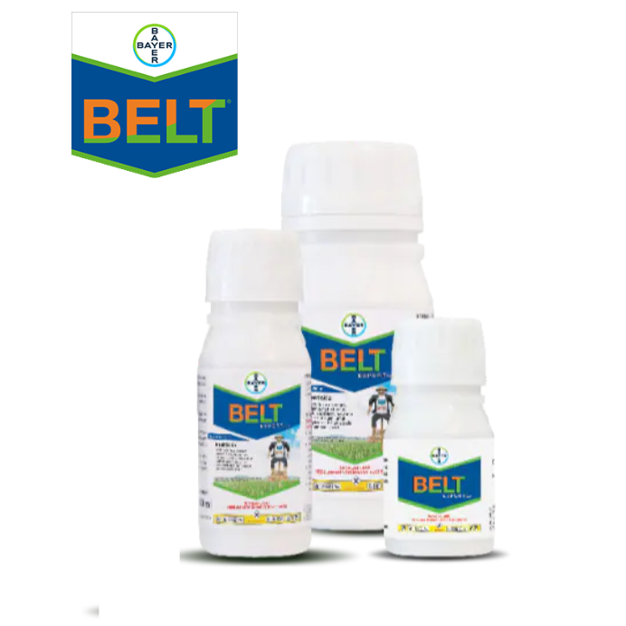 Bayer Belt