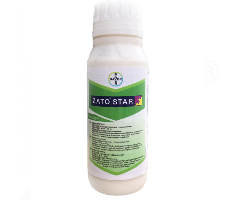 Bayer Zato Star