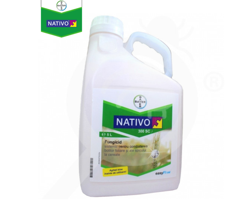 Bayer Nativo