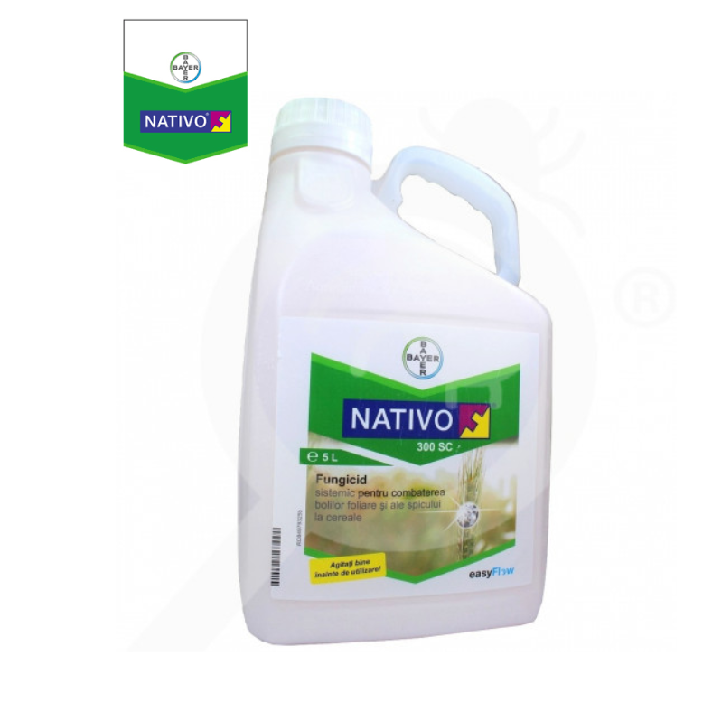 Bayer Nativo