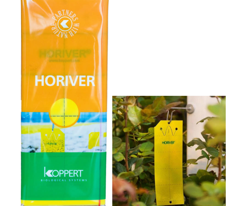 Koppert Horiver Yellow