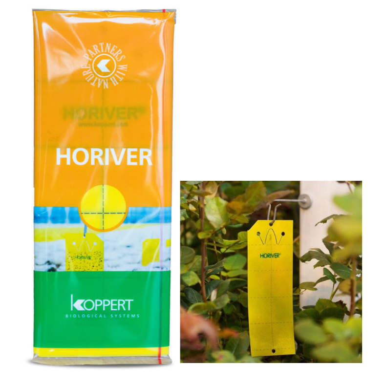 Koppert Horiver Yellow