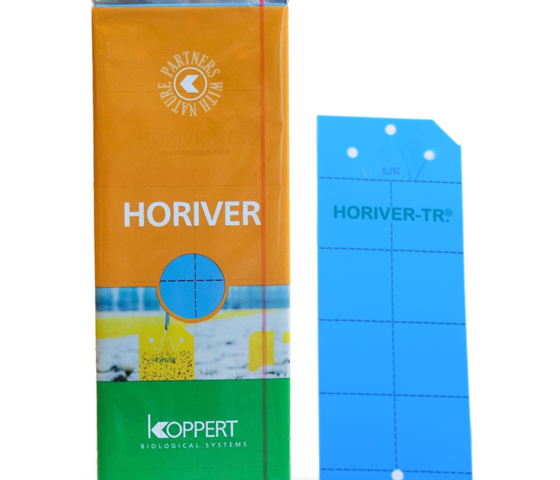 Koppert Horiver Blue