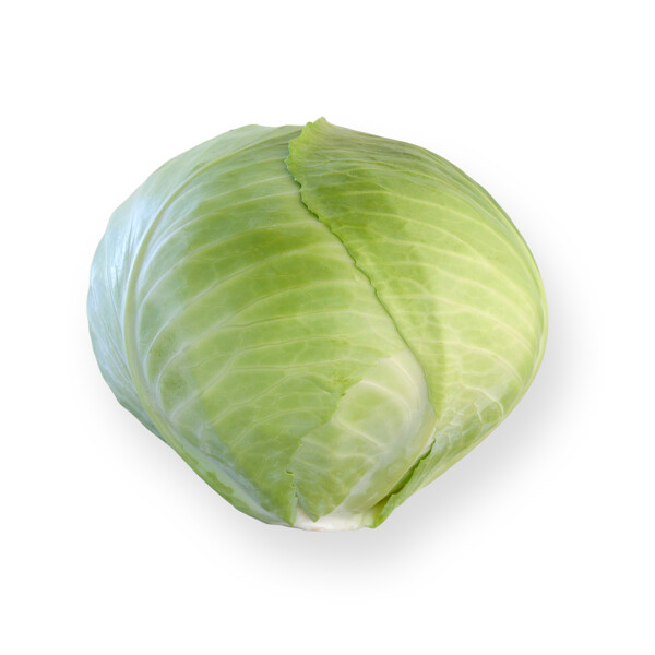 Rijk Zwaan Ancoma